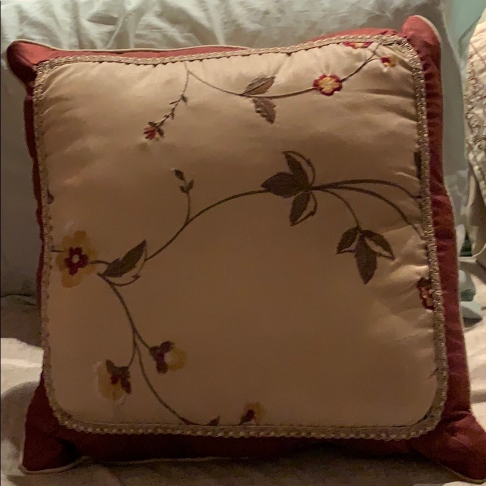 2 beautiful throw pillows